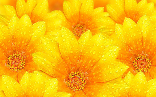 952395 (a): :1920x1200